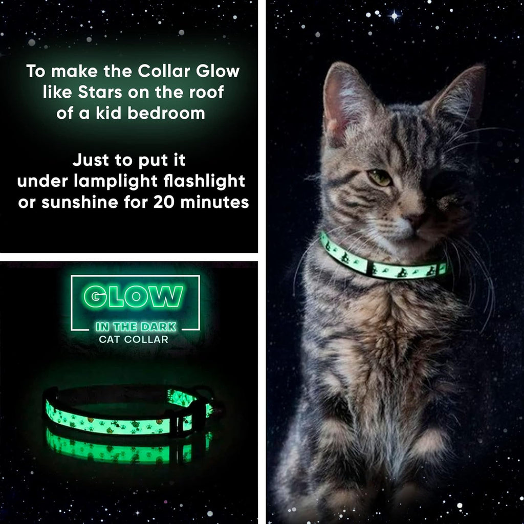 Glow in the Dark Cat Collar 