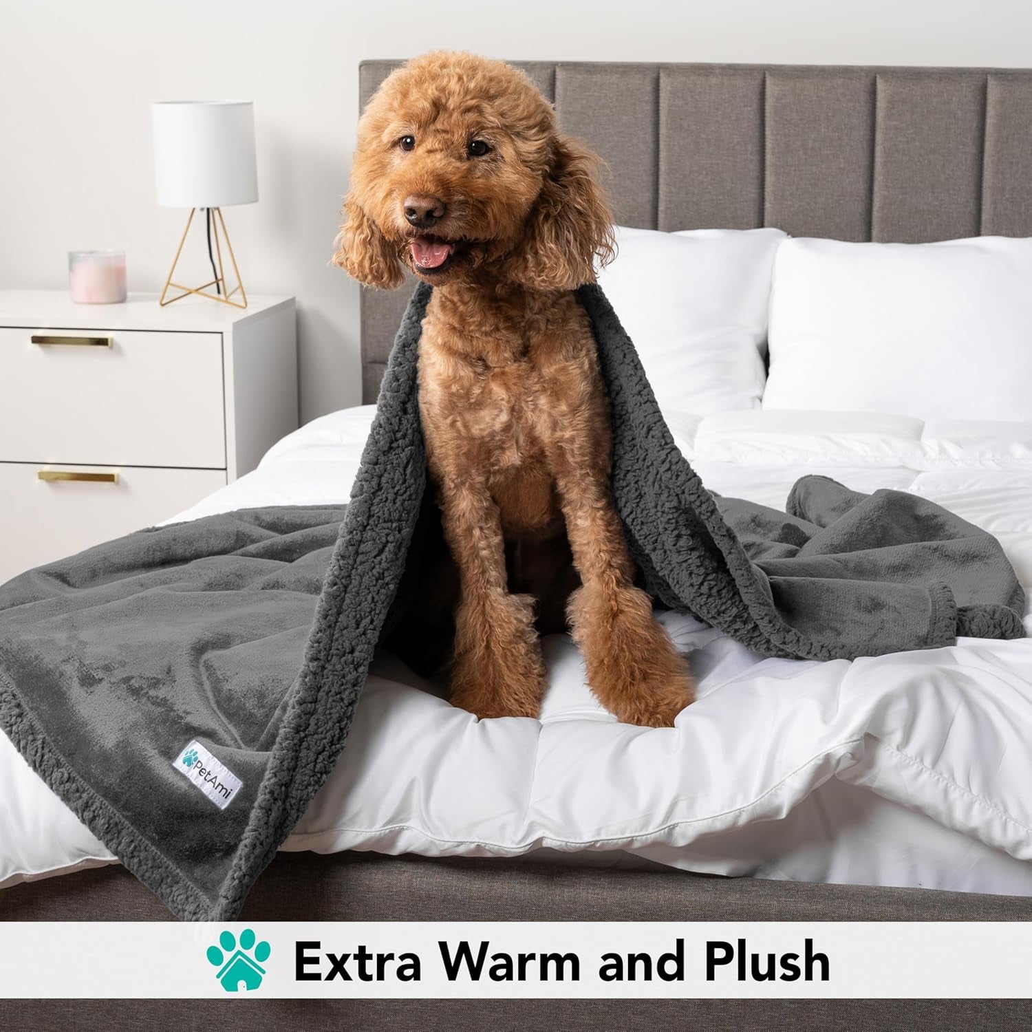 Dog Blanket