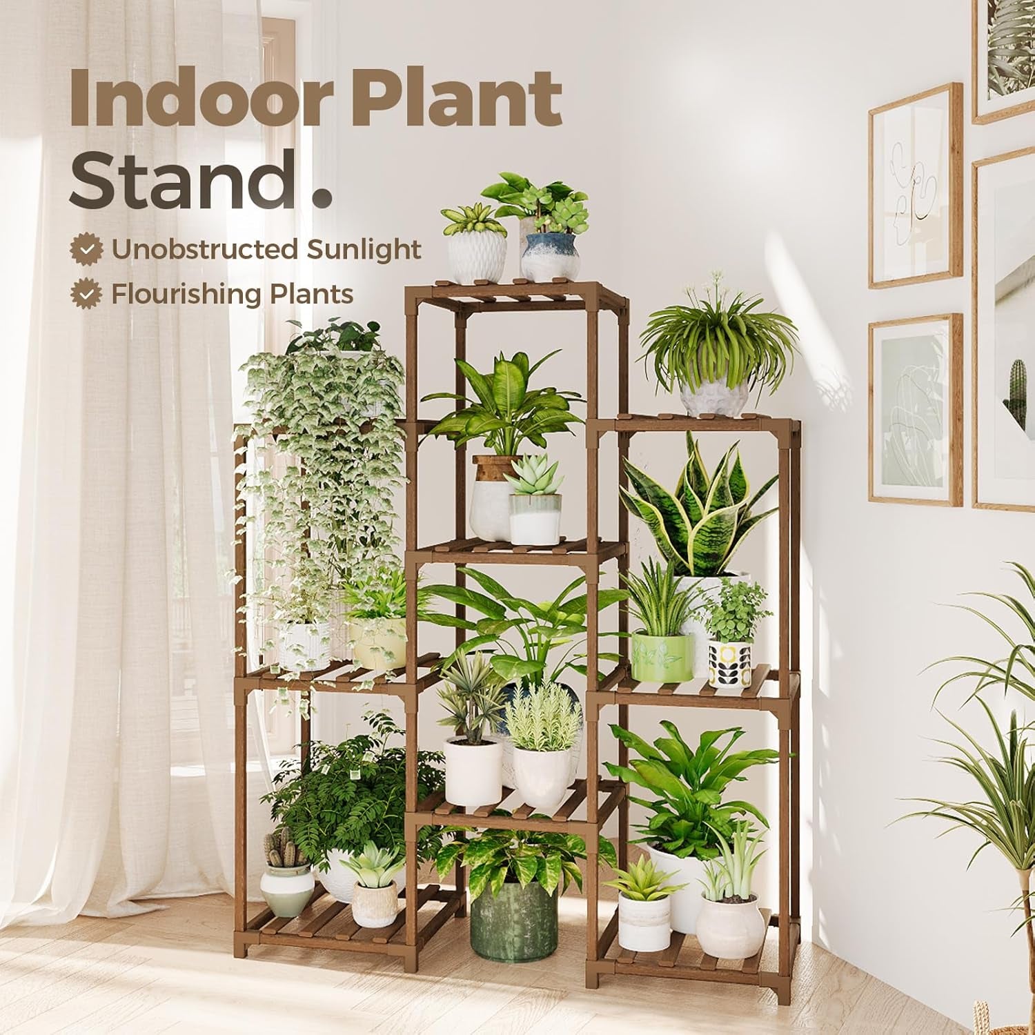 Indoor Plants Shelf