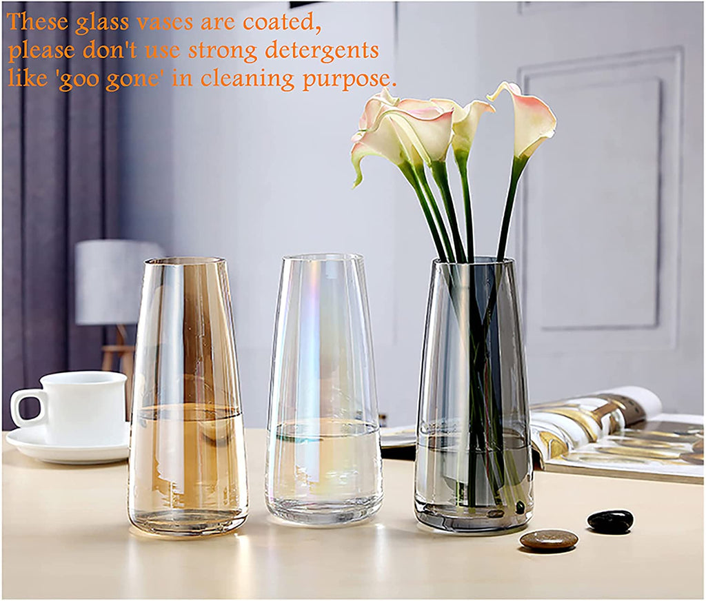 Modern Glass Vase 