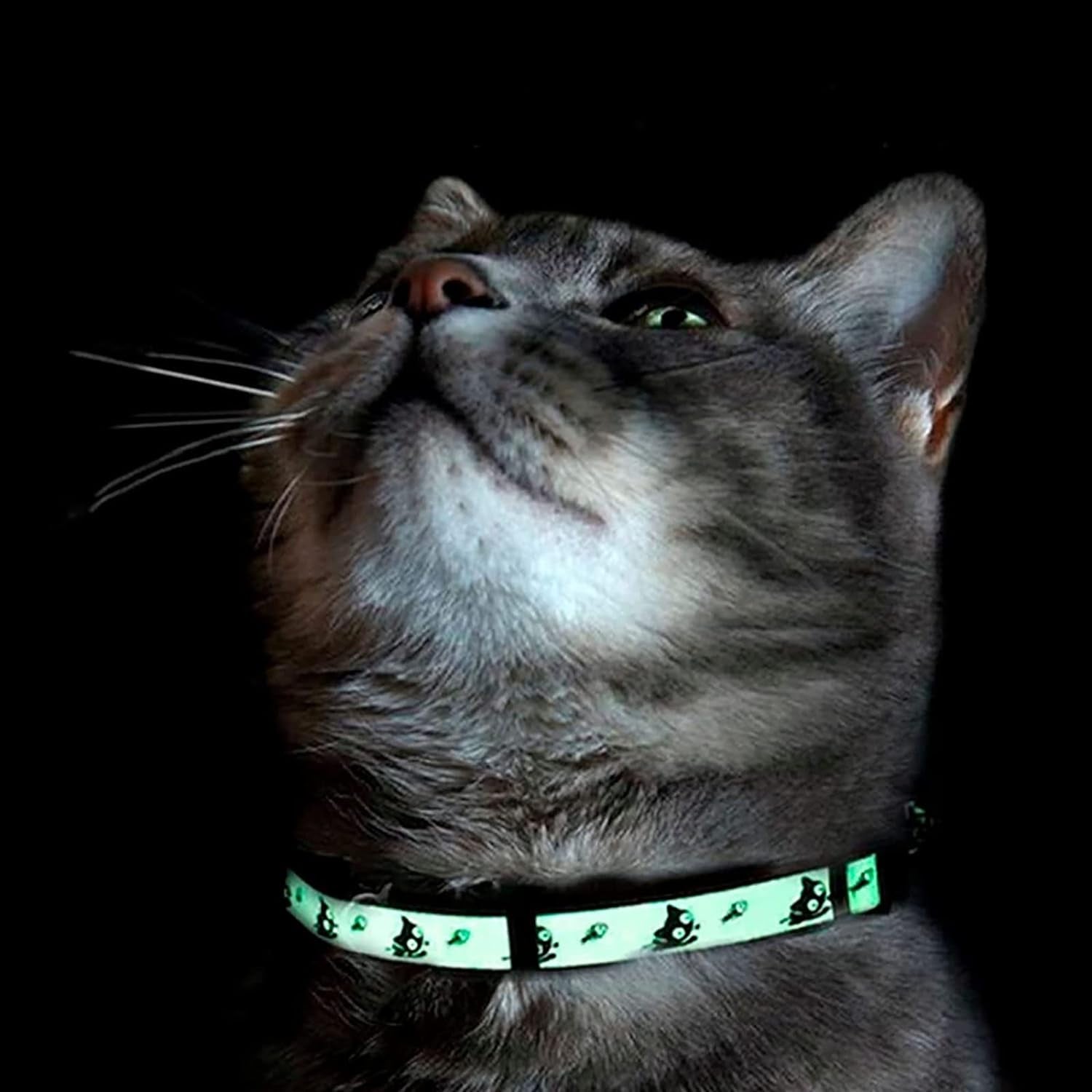 Glow in the Dark Cat Collar 