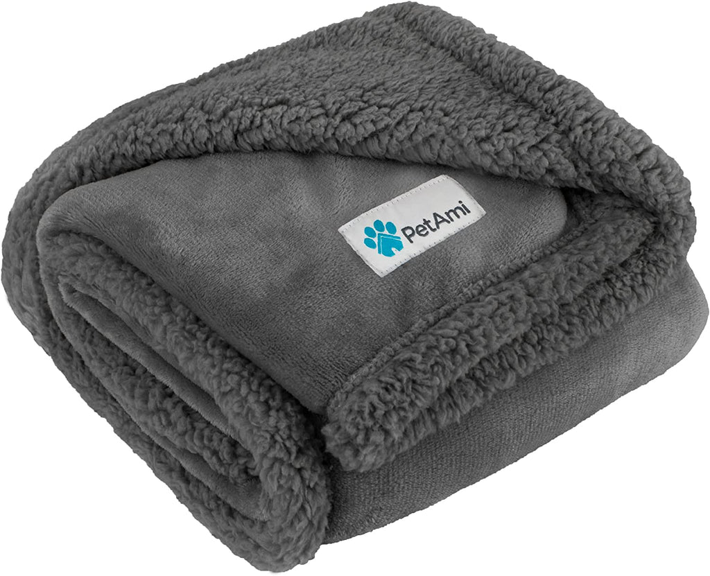 Dog Blanket