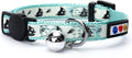 Glow in the Dark Cat Collar 