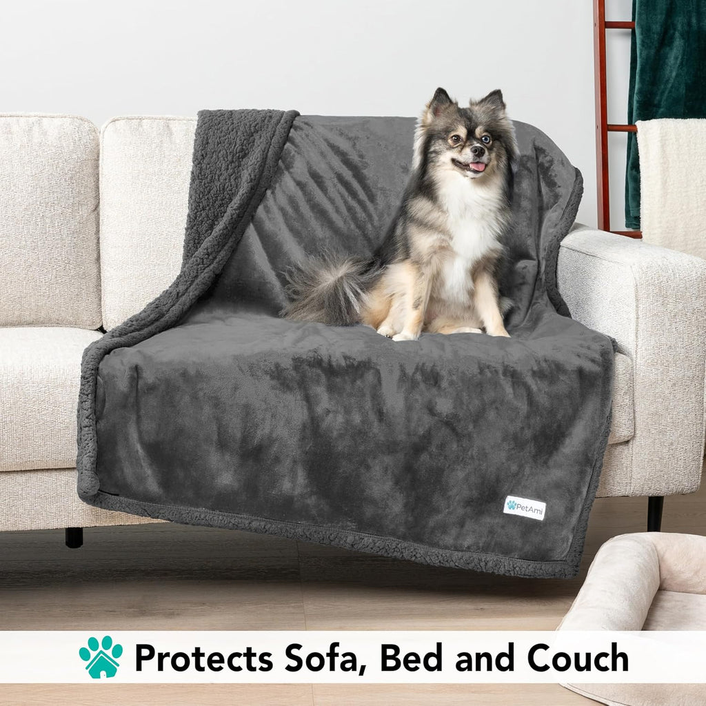 Dog Blanket
