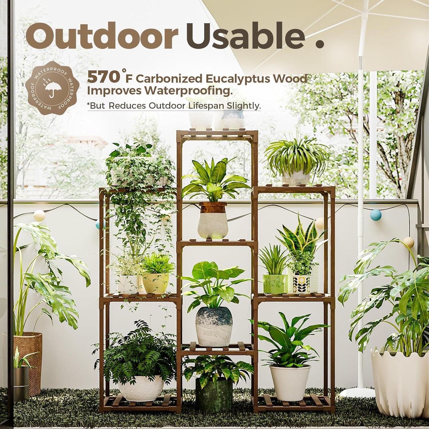 Indoor Plants Shelf