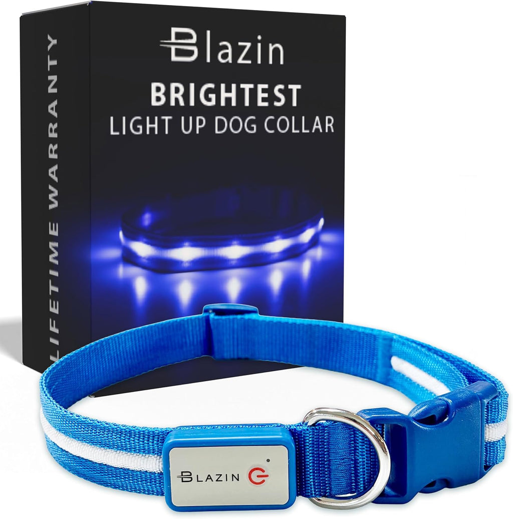 Light up Dog Collar