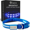 Light up Dog Collar