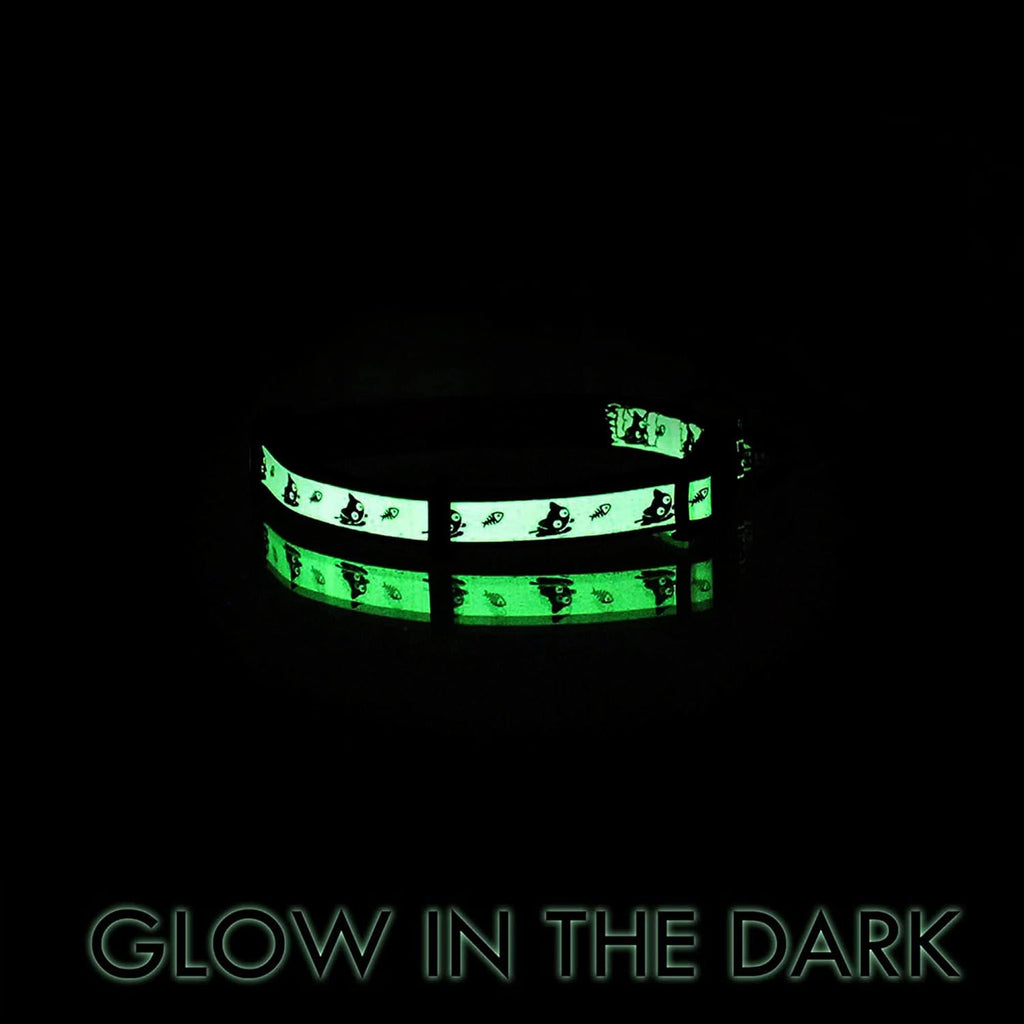 Glow in the Dark Cat Collar 