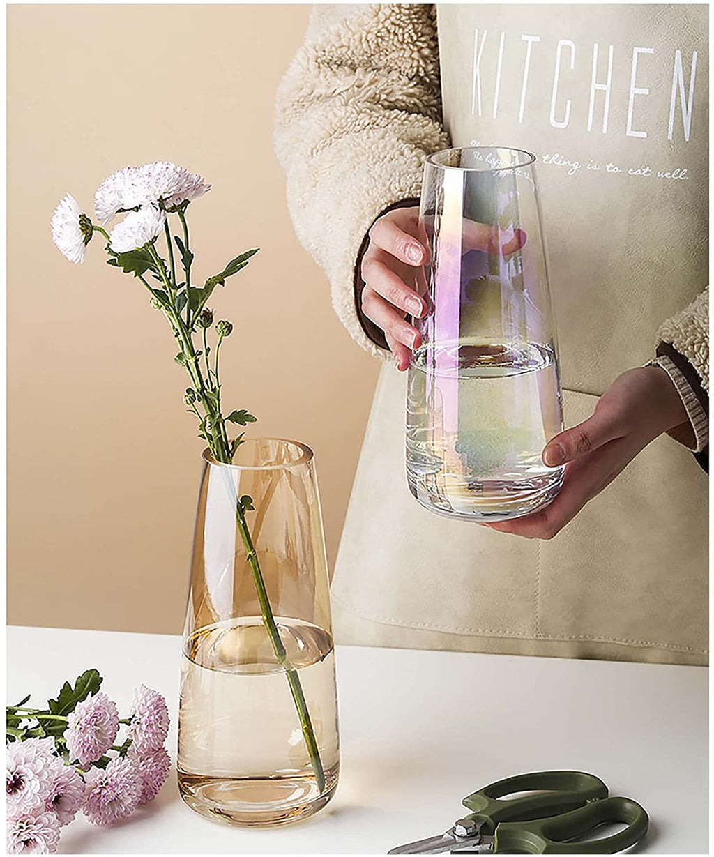 Modern Glass Vase 